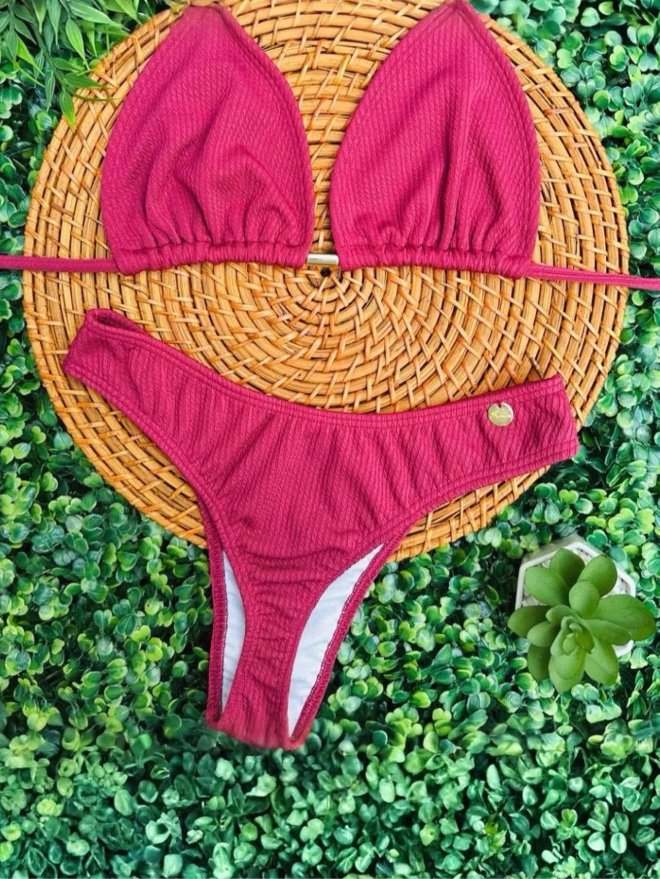 Biquíni Asa Delta Cortininha Moda Verão