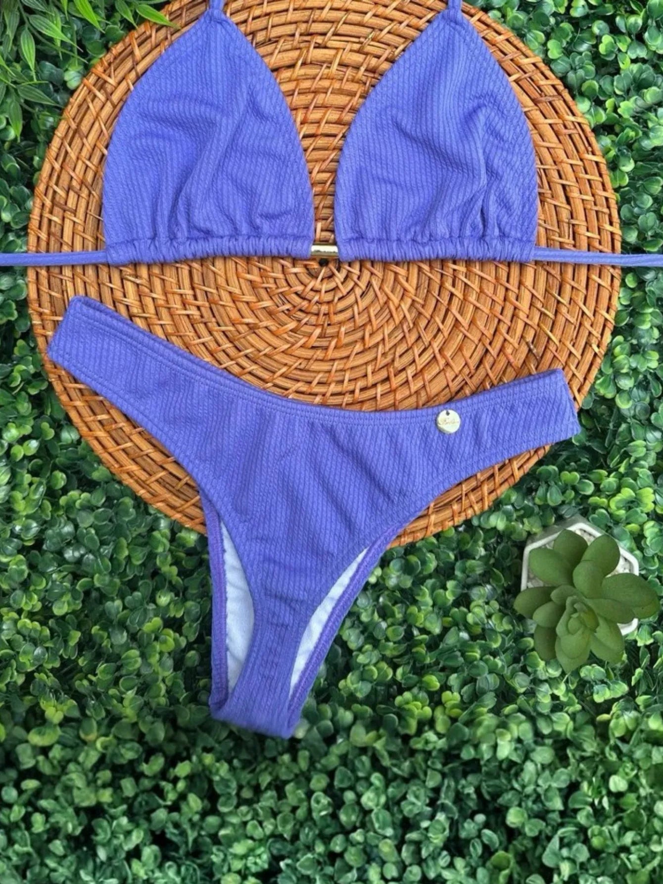 Biquíni Asa Delta Cortininha Moda Verão